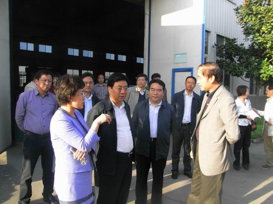 洛陽市委副書記、市長李柳身蒞臨公司調(diào)研機器人軸承項目